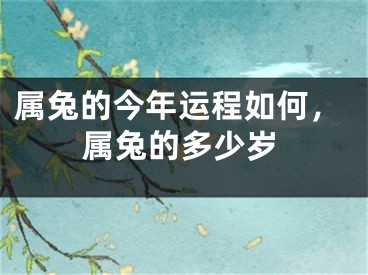 属兔的今年运程如何，属兔的多少岁