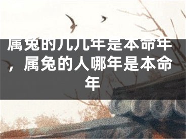 属兔的几几年是本命年，属兔的人哪年是本命年