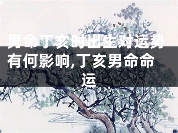 男命丁亥时出生对运势有何影响,丁亥男命命运