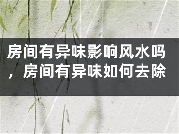 房间有异味影响风水吗，房间有异味如何去除