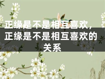 正缘是不是相互喜欢，正缘是不是相互喜欢的关系