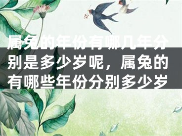 属兔的年份有哪几年分别是多少岁呢，属兔的有哪些年份分别多少岁