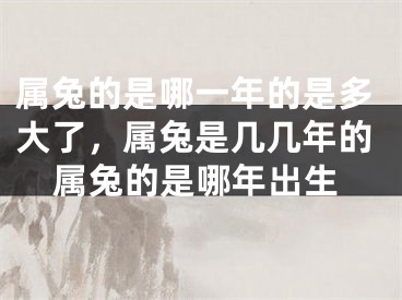 属兔的是哪一年的是多大了，属兔是几几年的属兔的是哪年出生