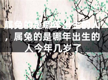 属兔的是哪年出生的人，属兔的是哪年出生的人今年几岁了