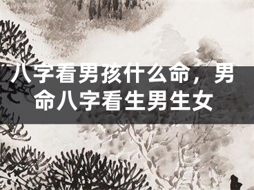 八字看男孩什么命，男命八字看生男生女