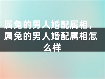 属兔的男人婚配属相，属兔的男人婚配属相怎么样