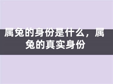 属兔的身份是什么，属兔的真实身份