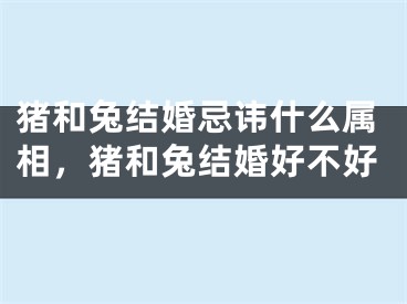 猪和兔结婚忌讳什么属相，猪和兔结婚好不好