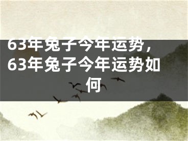 63年兔子今年运势,63年兔子今年运势如何