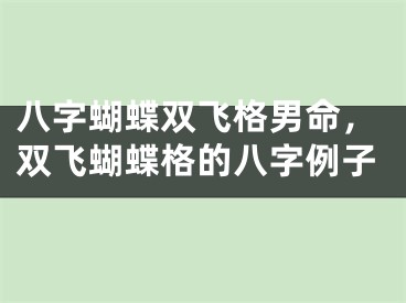 八字蝴蝶双飞格男命，双飞蝴蝶格的八字例子