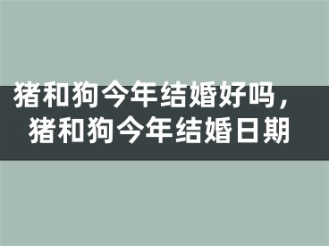 猪和狗今年结婚好吗，猪和狗今年结婚日期
