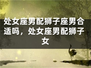 处女座男配狮子座男合适吗，处女座男配狮子女