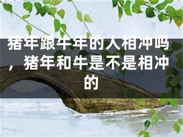 猪年跟牛年的人相冲吗，猪年和牛是不是相冲的