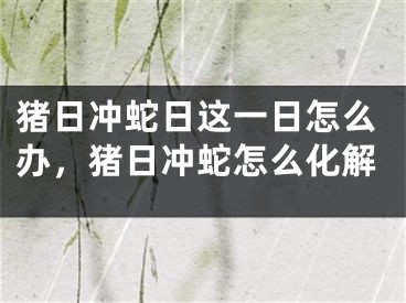 猪日冲蛇日这一日怎么办，猪日冲蛇怎么化解