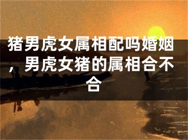 猪男虎女属相配吗婚姻，男虎女猪的属相合不合