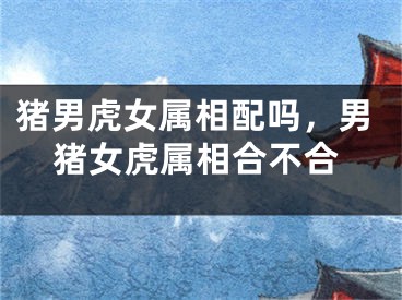 猪男虎女属相配吗,男猪女虎属相合不合