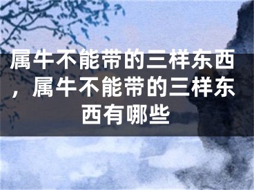 属牛不能带的三样东西,属牛不能带的三样东西有哪些
