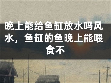 晚上能给鱼缸放水吗风水，鱼缸的鱼晚上能喂食不
