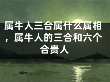属牛人三合属什么属相，属牛人的三合和六个合贵人