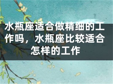 水瓶座适合做精细的工作吗，水瓶座比较适合怎样的工作