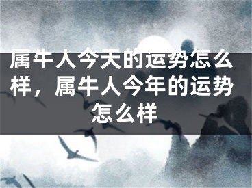 属牛人今天的运势怎么样，属牛人今年的运势怎么样
