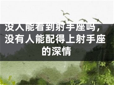 没人能看到射手座吗，没有人能配得上射手座的深情
