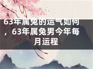 63年属兔的运气如何,63年属兔男今年每月运程