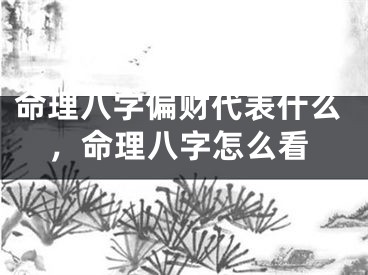 命理八字偏财代表什么，命理八字怎么看