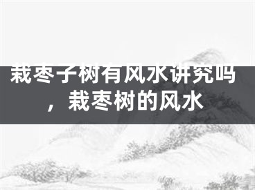栽枣子树有风水讲究吗，栽枣树的风水