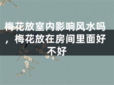 梅花放室内影响风水吗，梅花放在房间里面好不好