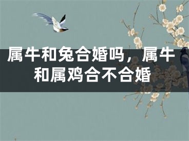 属牛和兔合婚吗，属牛和属鸡合不合婚