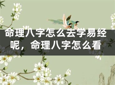 命理八字怎么去学易经呢，命理八字怎么看