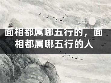 面相都属哪五行的，面相都属哪五行的人