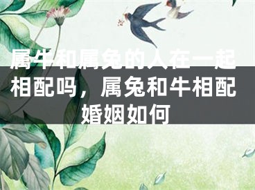 属牛和属兔的人在一起相配吗，属兔和牛相配婚姻如何
