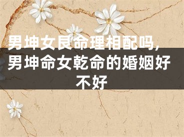男坤女艮命理相配吗,男坤命女乾命的婚姻好不好