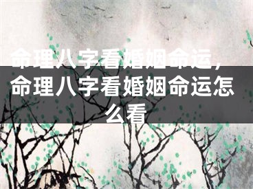命理八字看婚姻命运，命理八字看婚姻命运怎么看