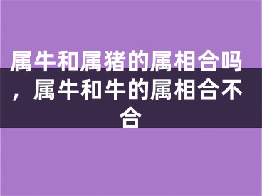 属牛和属猪的属相合吗，属牛和牛的属相合不合