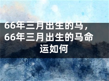 66年三月出生的马，66年三月出生的马命运如何