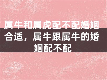 属牛和属虎配不配婚姻合适，属牛跟属牛的婚姻配不配