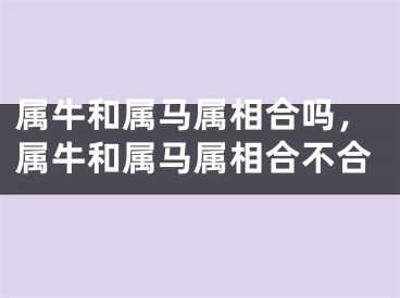 属牛和属马属相合吗，属牛和属马属相合不合