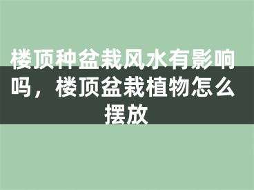 楼顶种盆栽风水有影响吗，楼顶盆栽植物怎么摆放