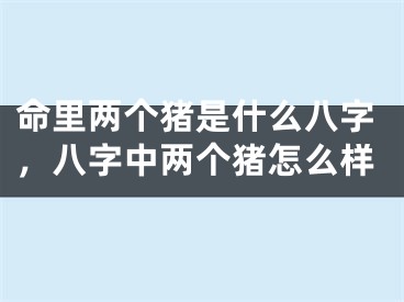 命里两个猪是什么八字，八字中两个猪怎么样