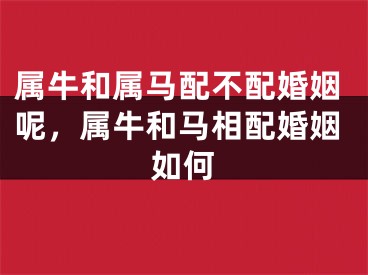 属牛和属马配不配婚姻呢，属牛和马相配婚姻如何