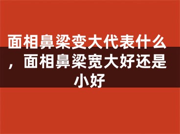 面相鼻梁变大代表什么，面相鼻梁宽大好还是小好