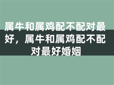 属牛和属鸡配不配对最好，属牛和属鸡配不配对最好婚姻