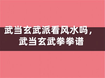 武当玄武派看风水吗，武当玄武拳拳谱