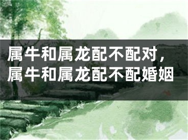 属牛和属龙配不配对，属牛和属龙配不配婚姻