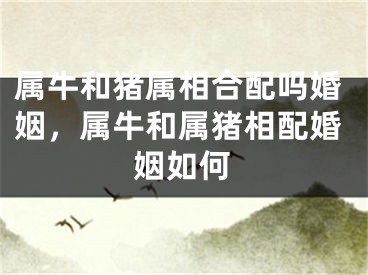 属牛和猪属相合配吗婚姻，属牛和属猪相配婚姻如何
