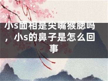 小s面相是尖嘴猴腮吗，小s的鼻子是怎么回事