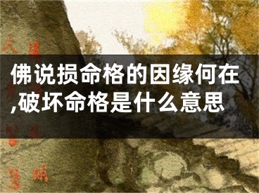 佛说损命格的因缘何在,破坏命格是什么意思